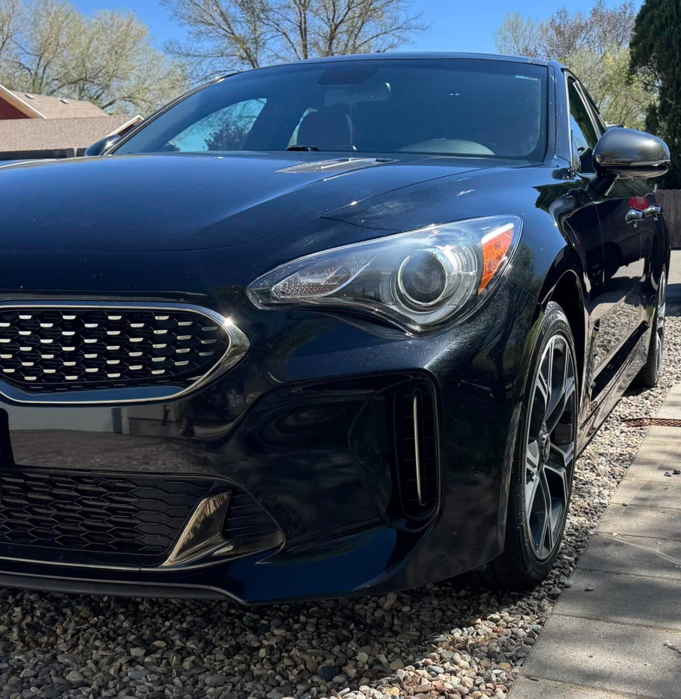 Freshly detailed glossy black car by Nevin's Mobile Detailing in Grand Junction